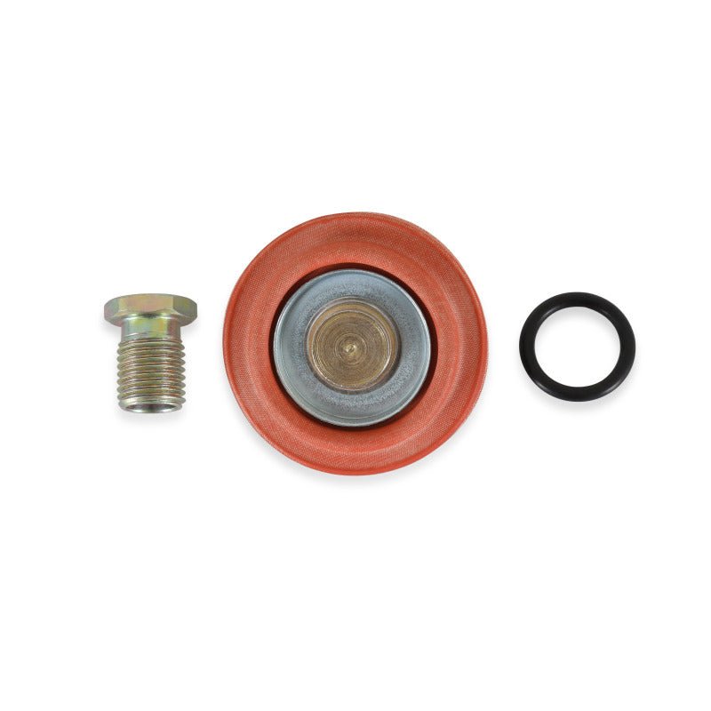 AEM Universal Fuel Pressure Regulator Rebuild Kit-Fuel Pressure Regulators-AEM