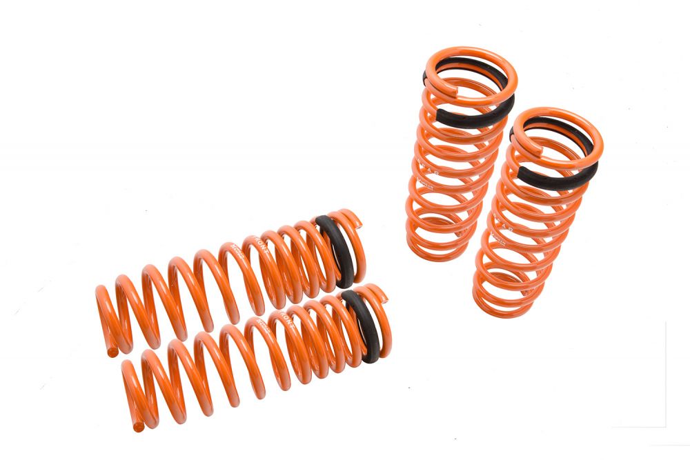 92-00 Honda Civic Megan Racing Lowering Springs