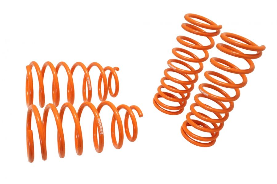 00-05 Kia Rio Megan Racing Lowering Springs