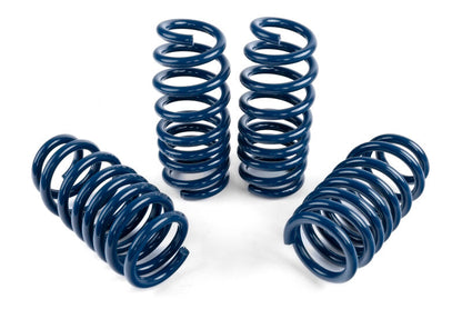 Dinan 20-26 BMW X5 M/X6 M (F95/F96) Performance Spring Set