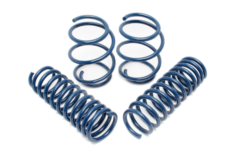 Dinan 06-10 BMW M5 (E60) Performance Spring Set