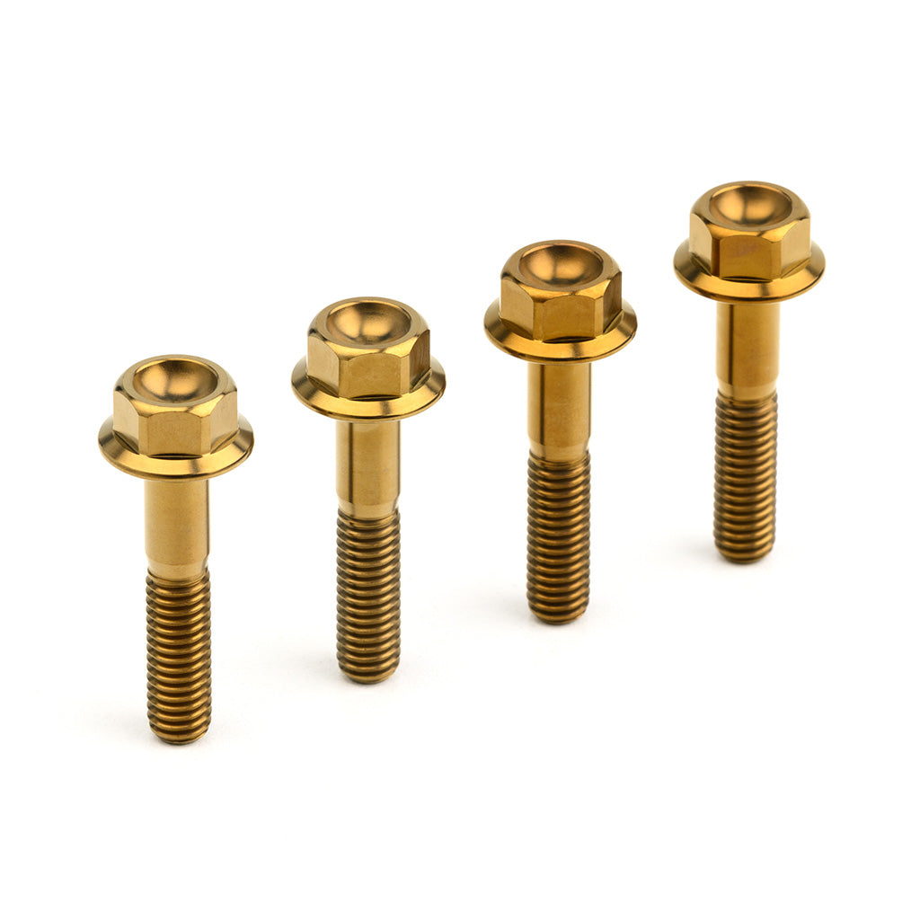 Titanium Mounting Hardware in Various Finishes for 1971-xxx Engine Covers
