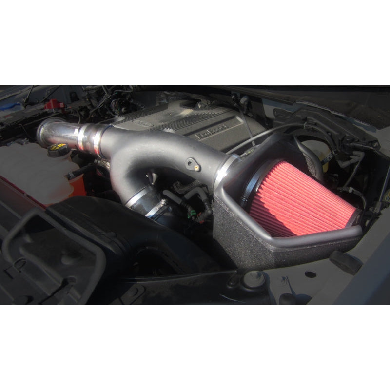 Corsa Apex 17-18 Ford F-150 3.5L EcoBoost DryTech 3D Metal Intake System
