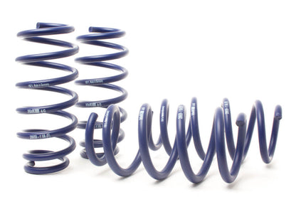 H&R Sport Springs - 18-22 Tesla Model 3 Long Range (AWD) Performance
