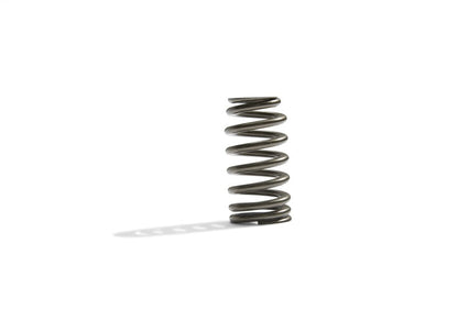 Ford Racing BOSS 302R Valve Spring Kit