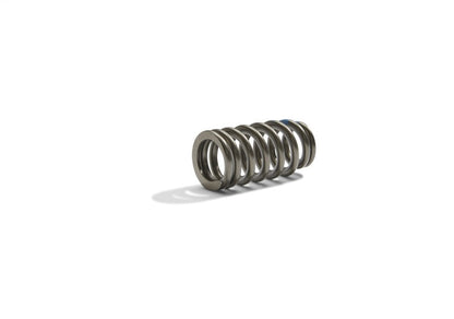 Ford Racing BOSS 302R Valve Spring Kit