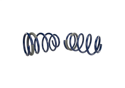 Ford Racing 2005-2014 Mustang GT 1.0in. Track Lowering Springs