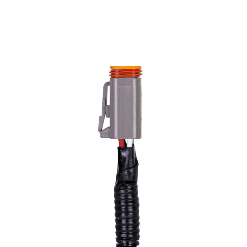 SPAL Jumper Harness for Brushless Fans