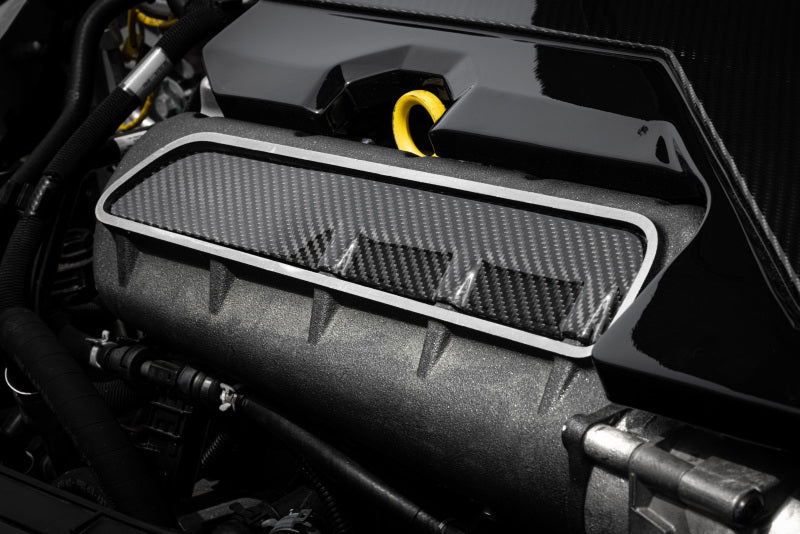 APR 17-26 Audi RS3/12-22 Audi TT RS Quattro 2.5T Carbon Fiber Intake Manifold Cover Plate