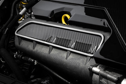 APR 17-26 Audi RS3/12-22 Audi TT RS Quattro 2.5T Carbon Fiber Intake Manifold Cover Plate