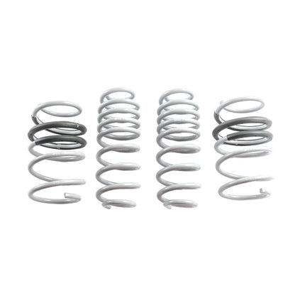 CTS Turbo B9/9.5 Audi SQ5 Lowering Springs