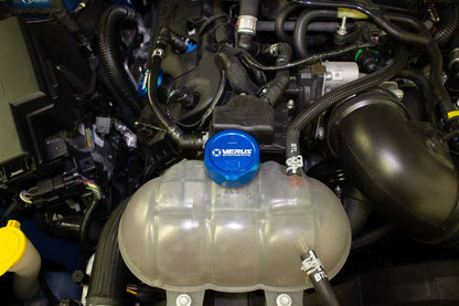 Verus - Coolant Overflow Cap - Ford