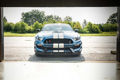 Verus - Dual-Element Dive Plane (Canard) Kit - Ford Mustang Shelby GT350