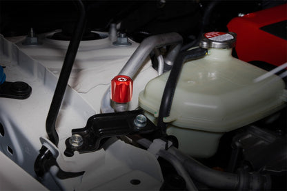 Verus - Engine Bay Cap Kit - Honda Civic CTR FL5