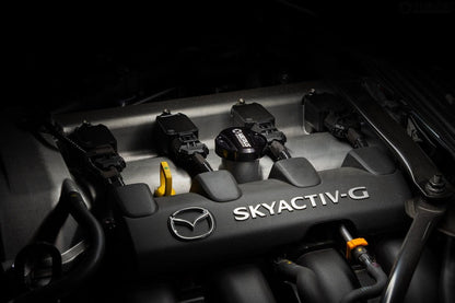 Verus - Engine Bay Fluid Cap Kit - ND Miata