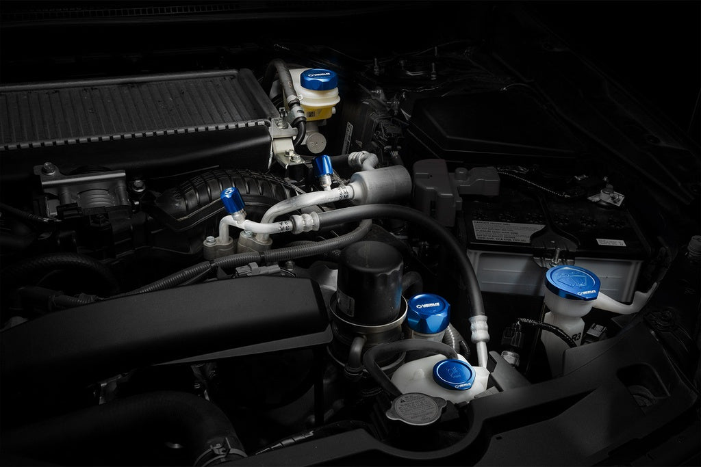 Verus - Full Car Cap Kit - Subaru WRX (VB)