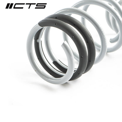 CTS Turbo Audi 8V S3/RS3 Lowering Springs