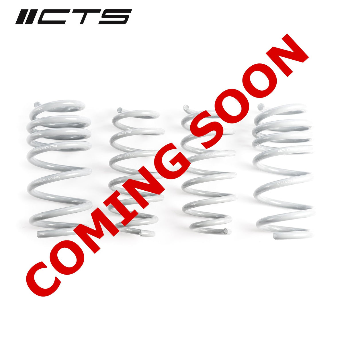 CTS Turbo Tesla Model 3 Standard Range/Standard Range Plus Lowering Springs