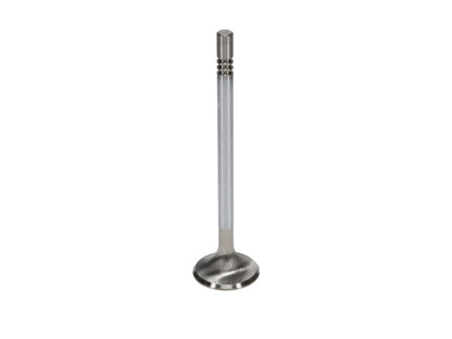 Manley Ford Modular Coyote 5.0L Gen III Race Master Series Exhaust Valve Set - 1.260in Dia