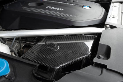Dinan 16-26 BMW 540i/740i/840i/X5 40i/X6 40i (G05/G06/G12/G15/G16/G32) Carbon Fiber Cold Air Intake