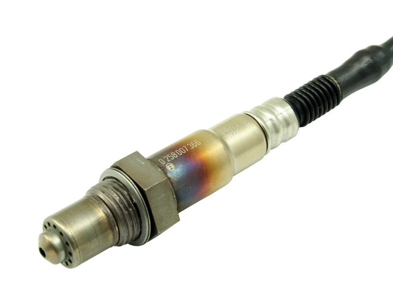 AEM Bosch UEGO Replacement Sensor-Oxygen Sensors-AEM