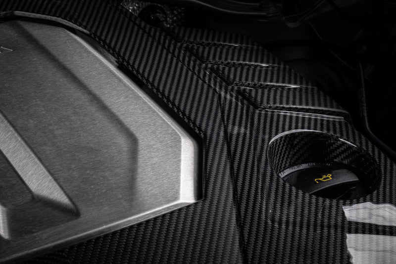 APR 21-26 Audi RS6 Avant/RS7 Sportback EA825 (C8) 4.0T Carbon Fiber Engine Cover-Engine Covers-APR
