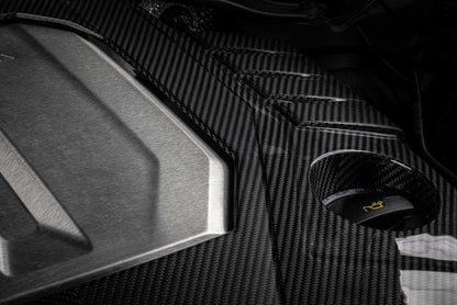 APR 21-26 Audi RS6 Avant/RS7 Sportback EA825 (C8) 4.0T Carbon Fiber Engine Cover-Engine Covers-APR