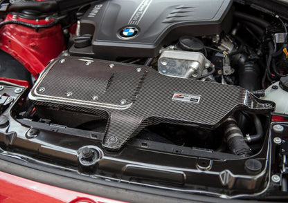 AWE Tuning BMW 228i/320i/328i/428i S - FLO Carbon Intake Cold Air Intakes