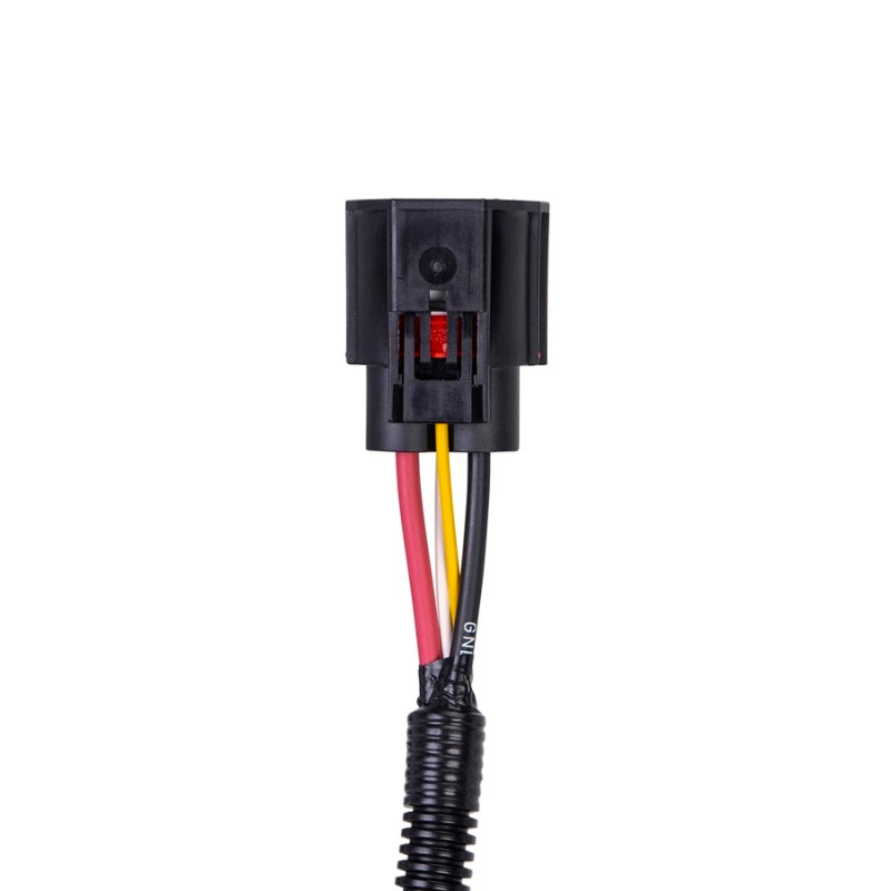 SPAL Harness Adapter for Brushless Fans