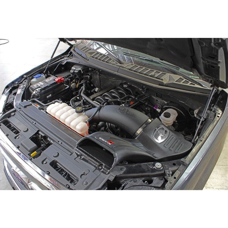aFe Momentum GT Pro Dry S Stage-2 Intake System 15-17 Ford F-150 V8 5.0L