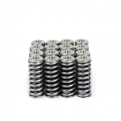 Skunk2 Alpha Series Honda/Acura D Series Valve Spring and Titanium Retainer Kit
