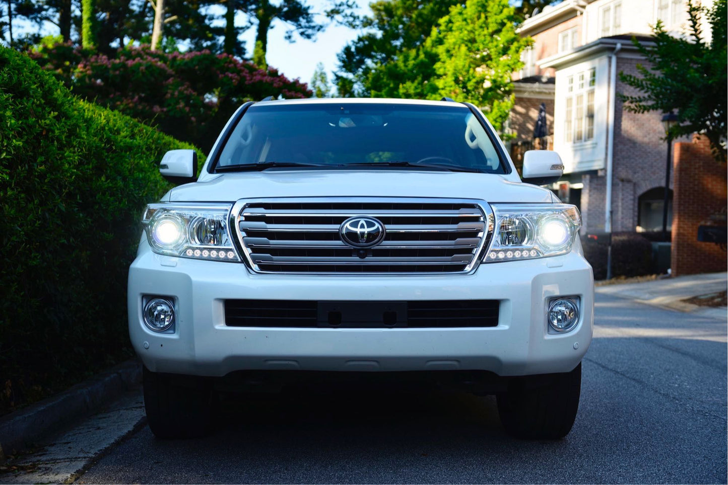 D4S: Morimoto XB HID Bulbs (Pair) - HID Bulbs - Morimoto