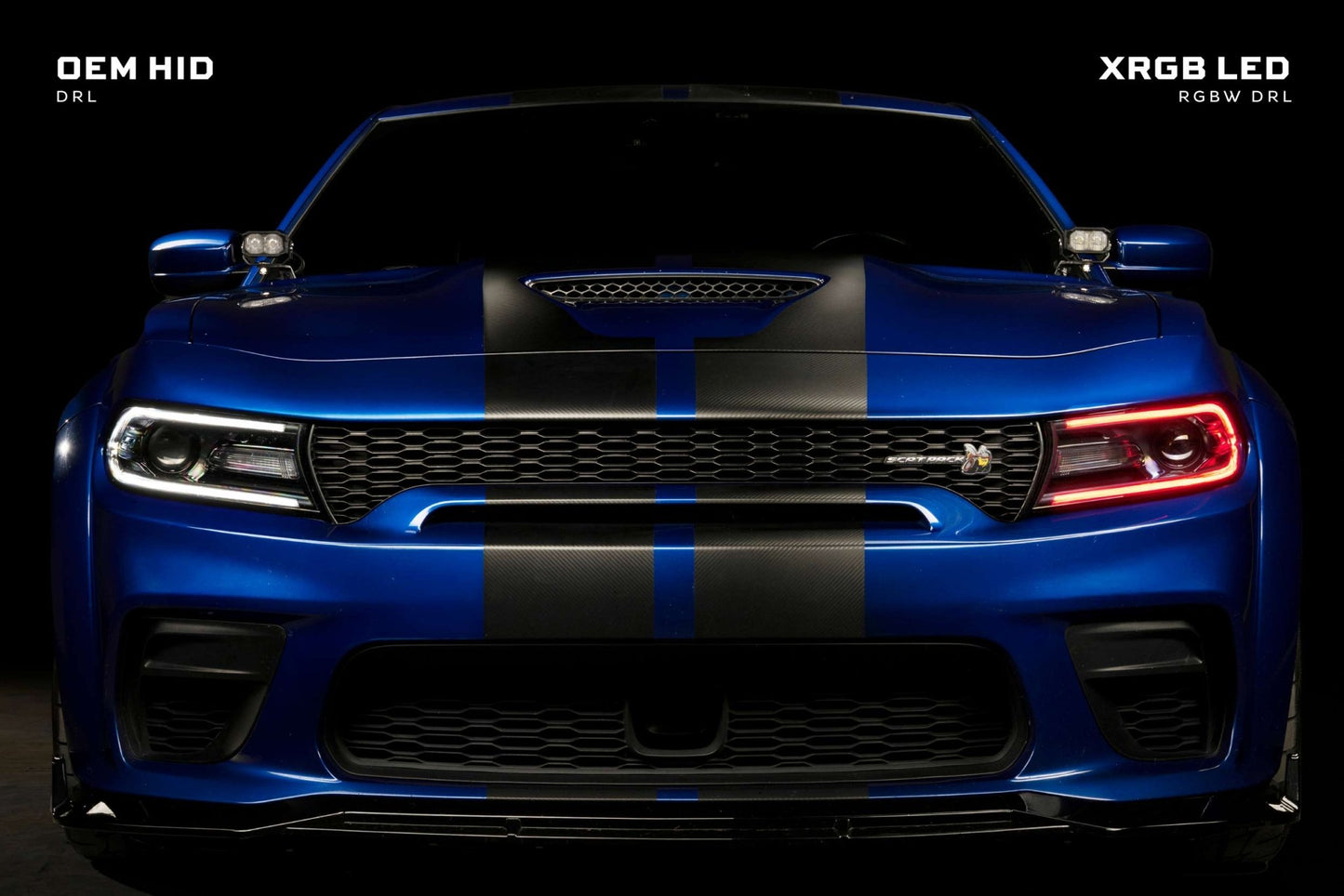 Dodge Charger (15 - 23)Morimoto XRGB LED Headlights - Headlights - Morimoto XB LED Headlights