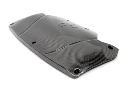 Dinan 15-19 BMW X5 M/X6 M (F85/F86) Carbon Fiber Cold Air Intake