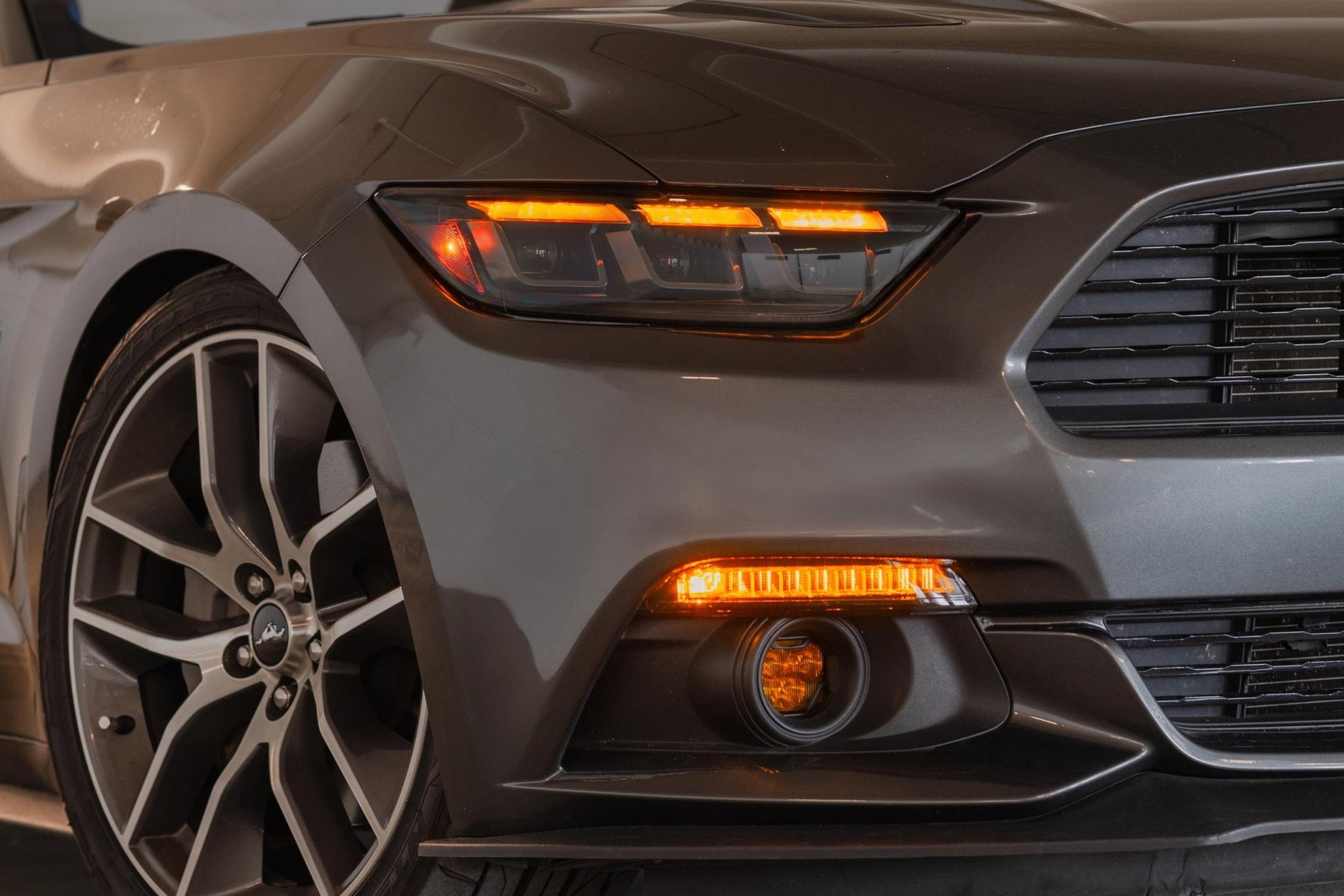 Ford Mustang GT350/GT350R (15 - 20) (Gen II): Morimoto XB LED Headlights - Headlights - Morimoto XB LED Headlights