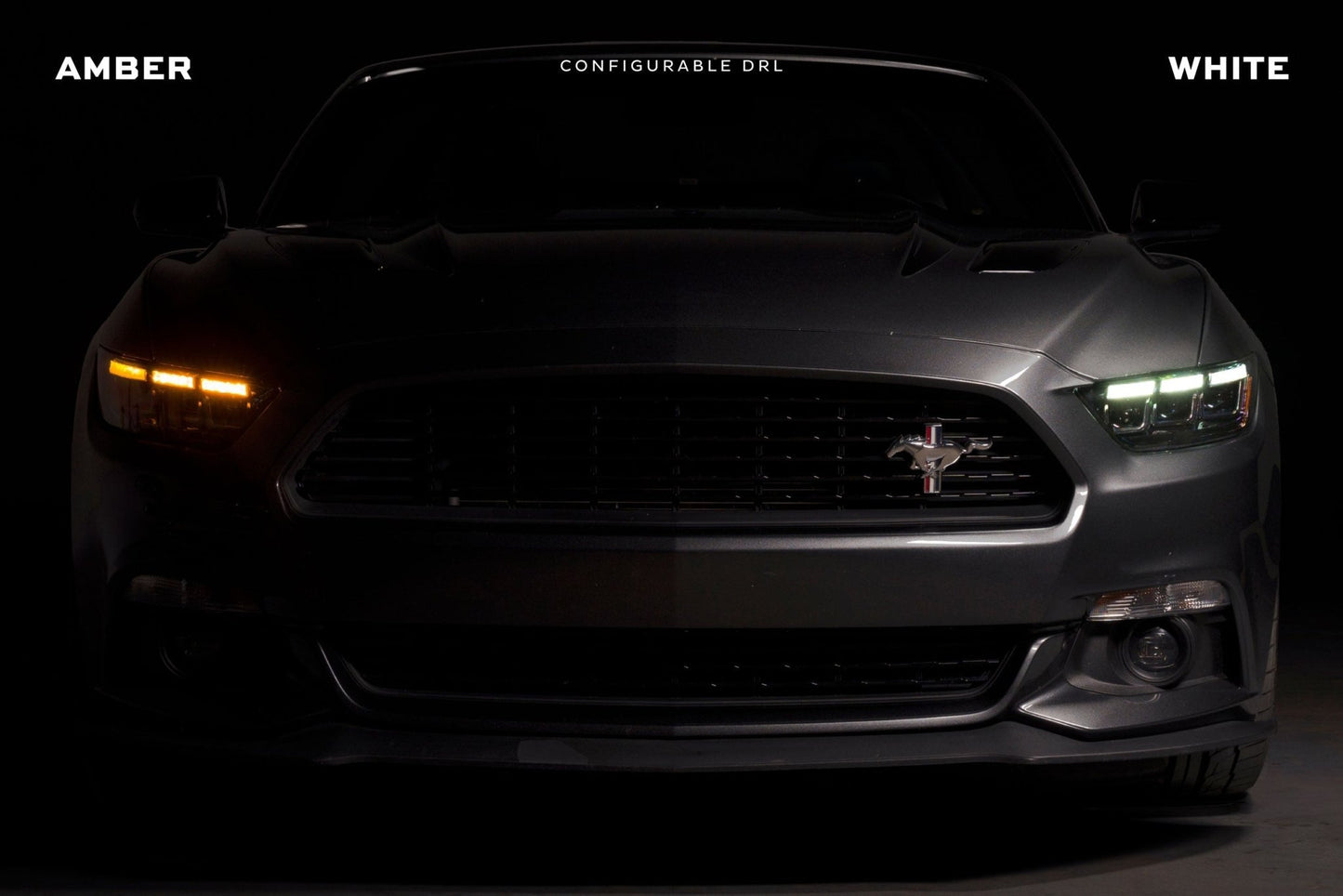 Ford Mustang GT350/GT350R (15 - 20) (Gen II): Morimoto XB LED Headlights - Headlights - Morimoto XB LED Headlights