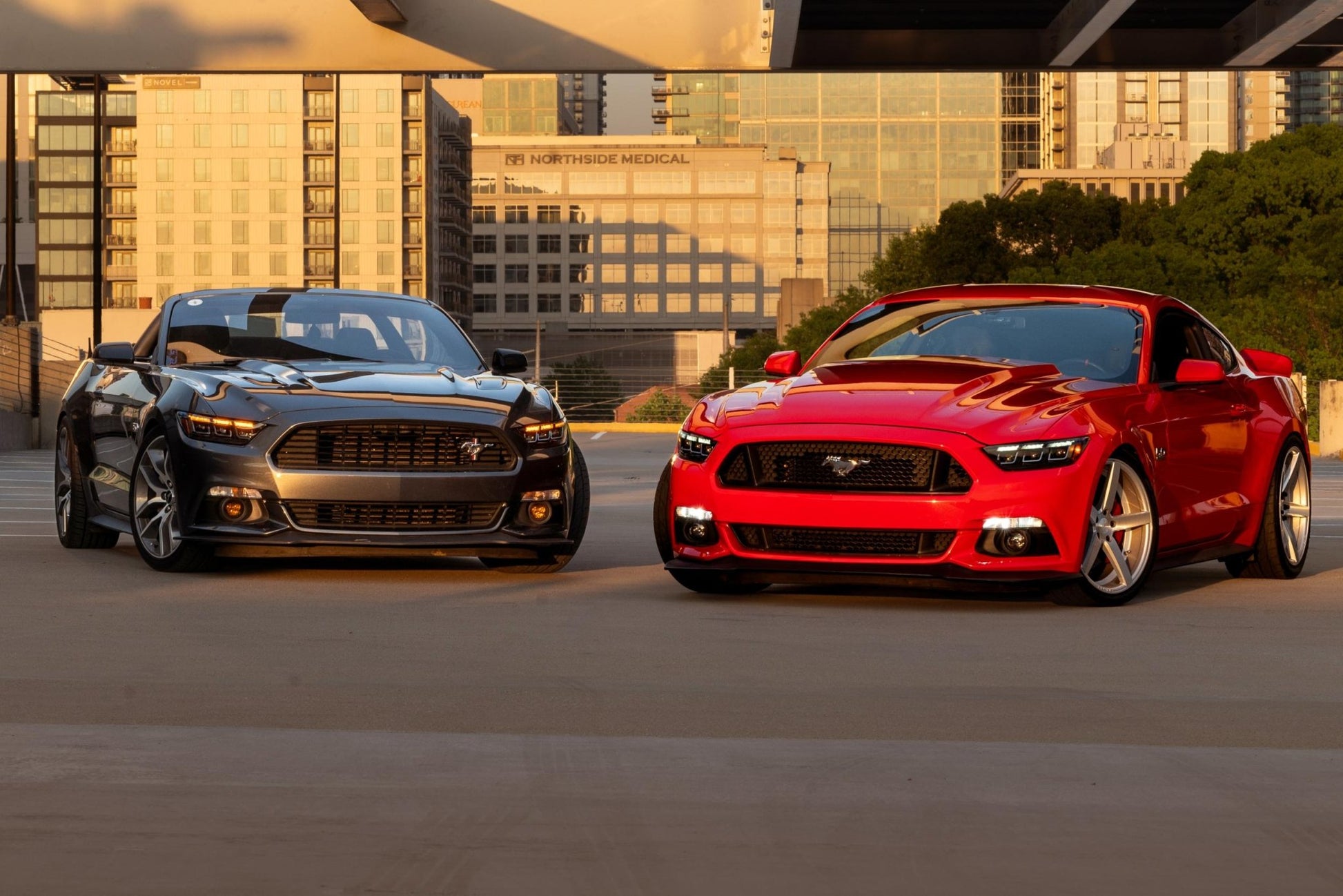 Ford Mustang GT500 (20 - 22) (Gen II): Morimoto XB LED Headlights - Headlights - Morimoto XB LED Headlights