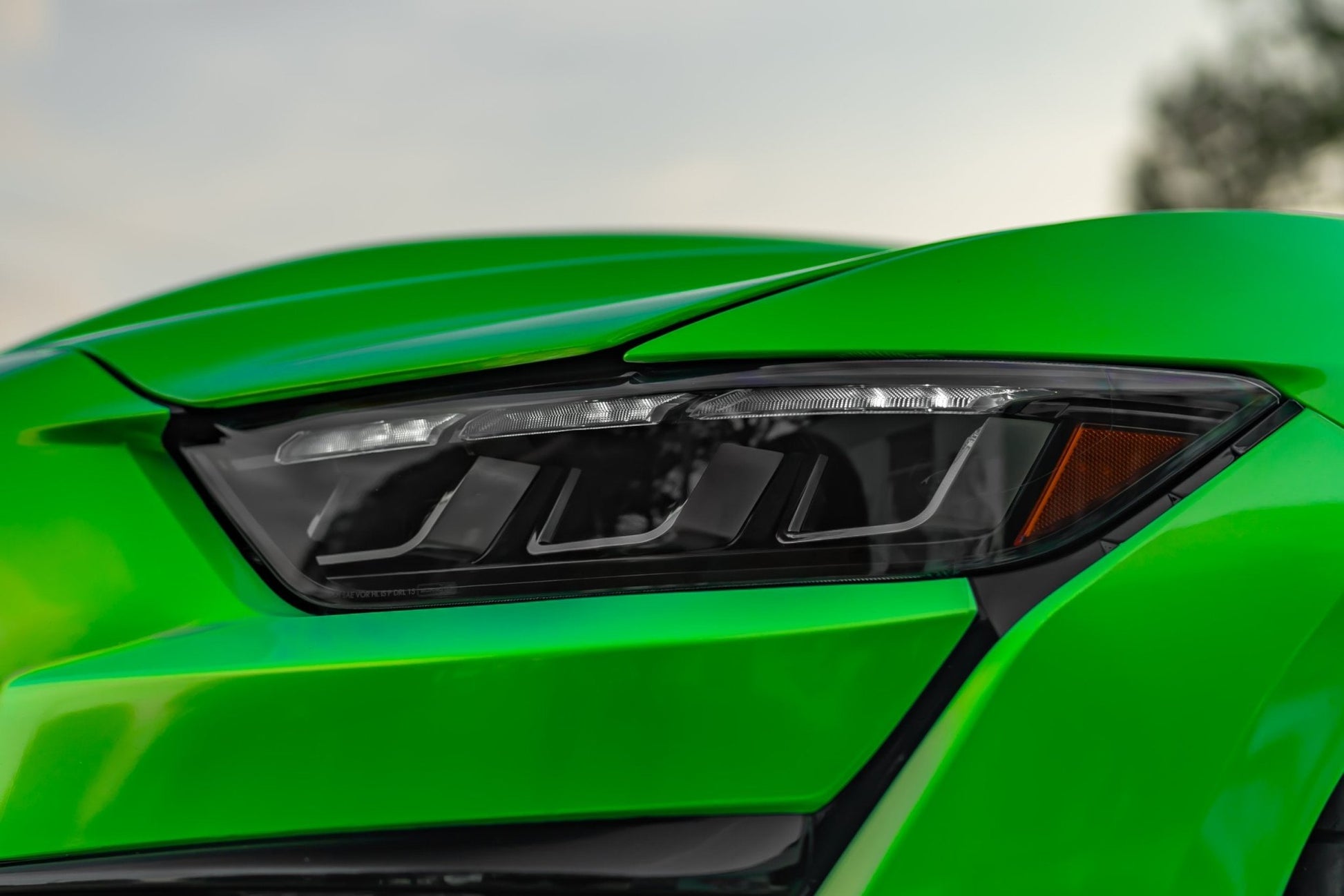 Ford Mustang GT500 (20 - 22) (Gen II): Morimoto XB LED Headlights - Headlights - Morimoto XB LED Headlights