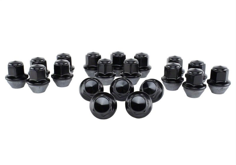 Ford Racing 15-18 Mustang Black Lug Nut Kit (20 Lug Nuts)-Lug Nuts-Ford Racing