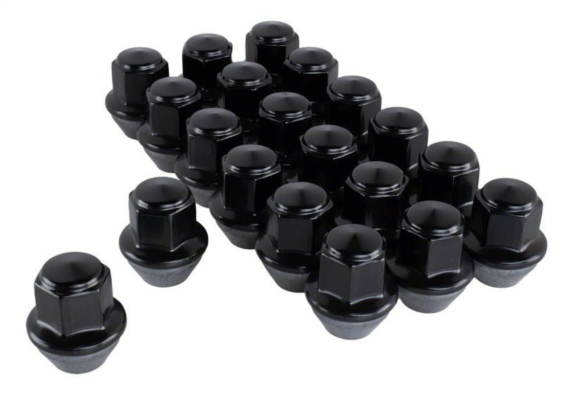 Ford Racing 15-18 Mustang Black Lug Nut Kit (20 Lug Nuts)-Lug Nuts-Ford Racing