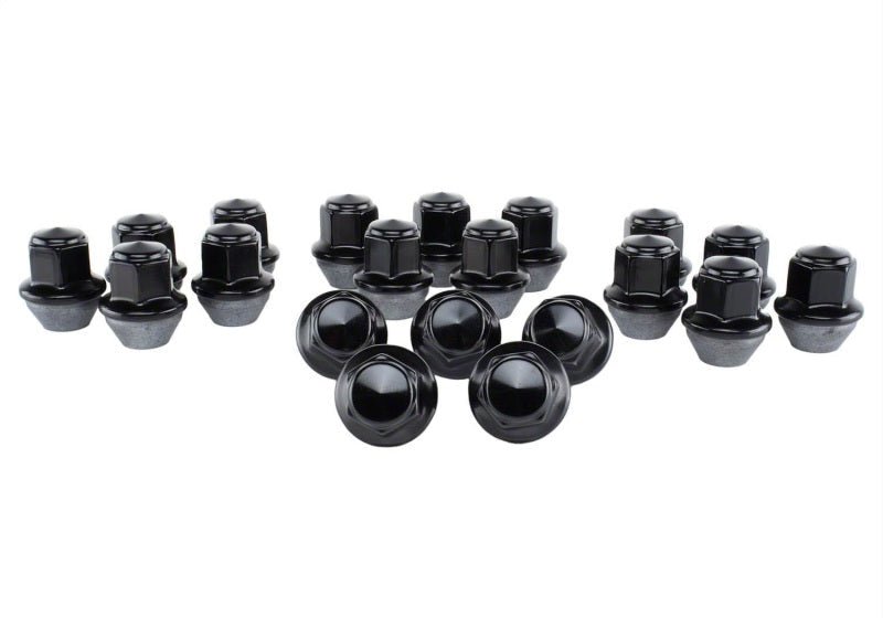 Ford Racing 15-18 Mustang Black Lug Nut Kit (20 Lug Nuts)-Lug Nuts-Ford Racing