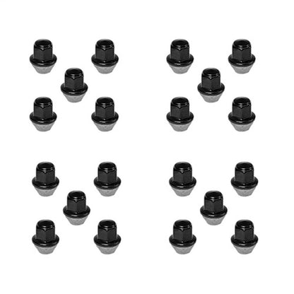 Ford Racing 15-18 Mustang Black Lug Nut Kit (20 Lug Nuts)-Lug Nuts-Ford Racing