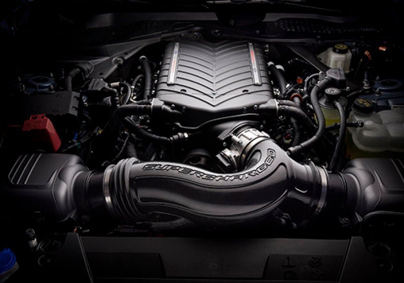 Ford Racing 2024+ Mustang GT/Dark Horse 5.0L Supercharger Kit-Supercharger Kits-Ford Racing