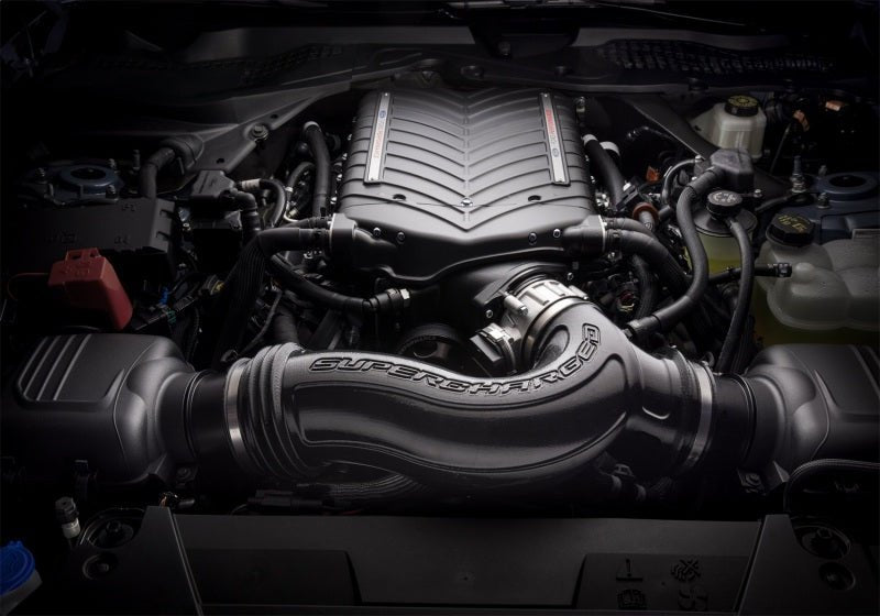 Ford Racing 2024+ Mustang GT/Dark Horse 5.0L Supercharger Kit-Supercharger Kits-Ford Racing