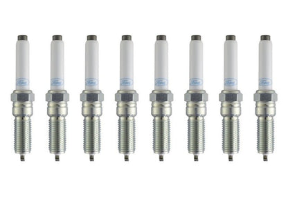 Ford Racing 21-25 F-150 5.0L Coyote (w/Variable Displacement) Cold Spark Plug Set-Spark Plugs-Ford Racing