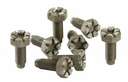 Ford Racing 4.6L Manual Flywheel Bolts-Hardware Kits - Other-Ford Racing