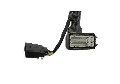 Ford Racing 5.0L Coyote Engine Harness for Automatic Transmission-Wiring Harnesses-Ford Racing