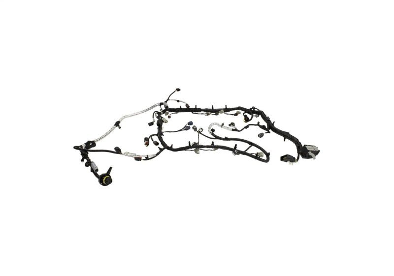 Ford Racing 5.0L Coyote Engine Harness for Automatic Transmission-Wiring Harnesses-Ford Racing