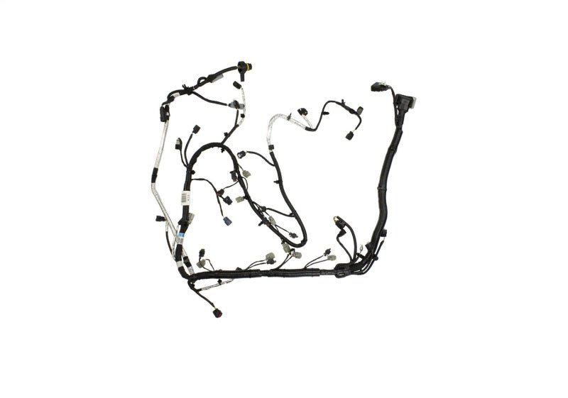 Ford Racing 5.0L Coyote Engine Harness for Automatic Transmission-Wiring Harnesses-Ford Racing