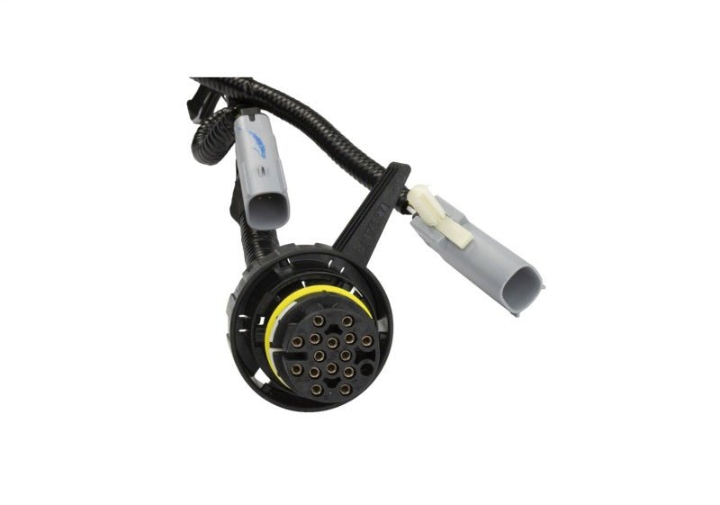 Ford Racing 5.0L Coyote Engine Harness for Automatic Transmission-Wiring Harnesses-Ford Racing